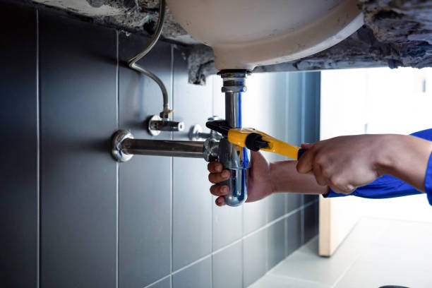 Best Garbage Disposal Repair and Installation  in Heyburn, ID